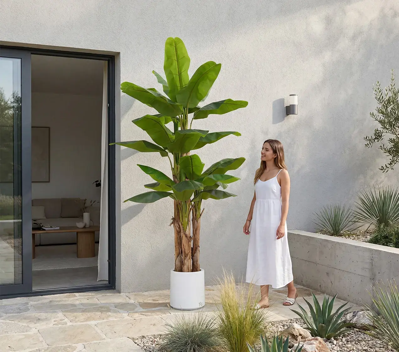 planta