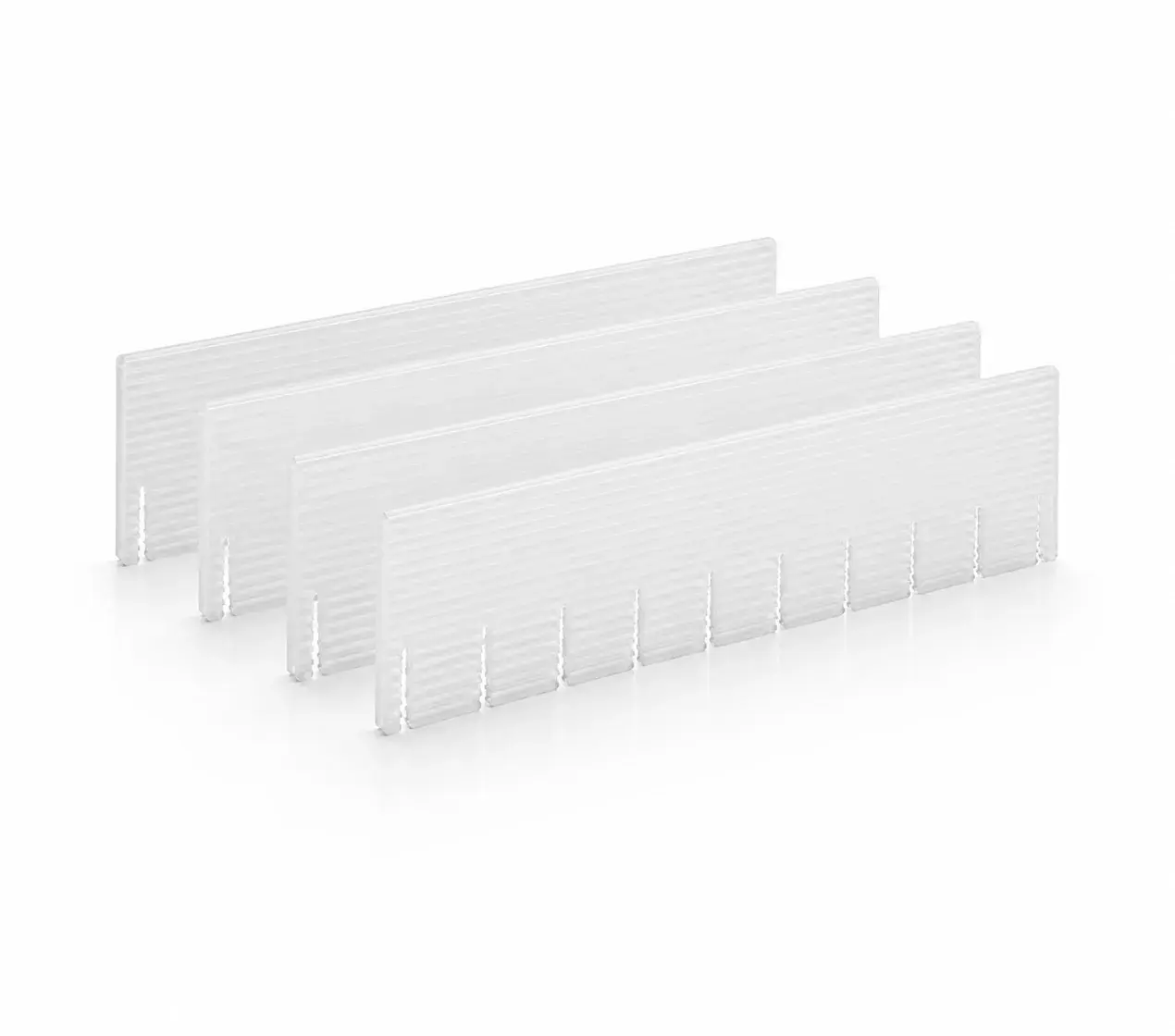 organizador