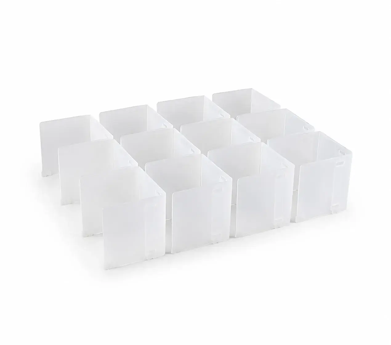 organizador