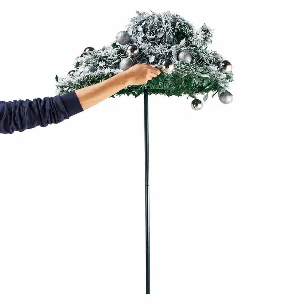 arvore