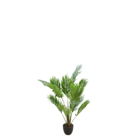 palmeira c/vaso 85cm