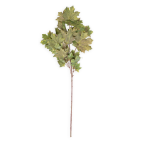 haste ácer 105 cm