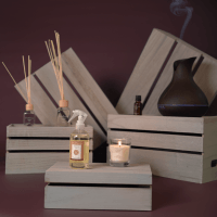 Fragrância Oxygen EMOTIONS